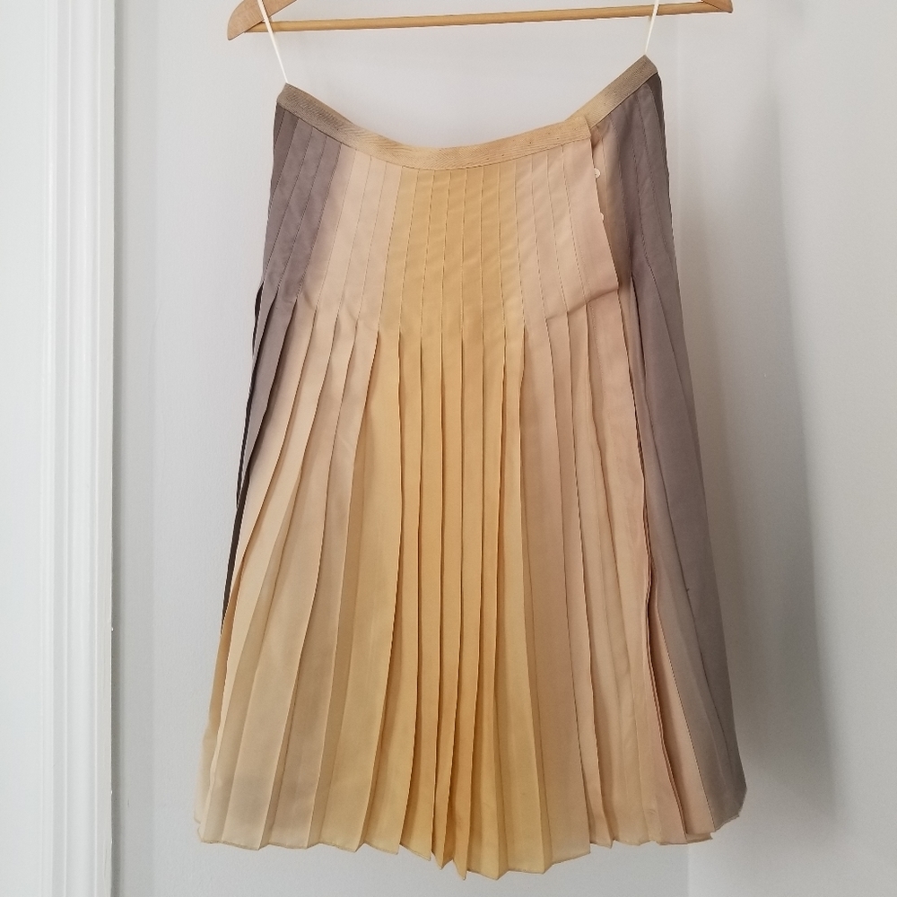 Massimo Dutti Pleated Silk Skirt